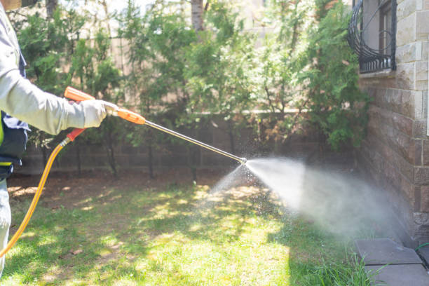 Best Mosquito Control  in Liverpool, NY